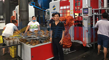 中鑄全自動造型機(jī)+機(jī)械手下砂芯